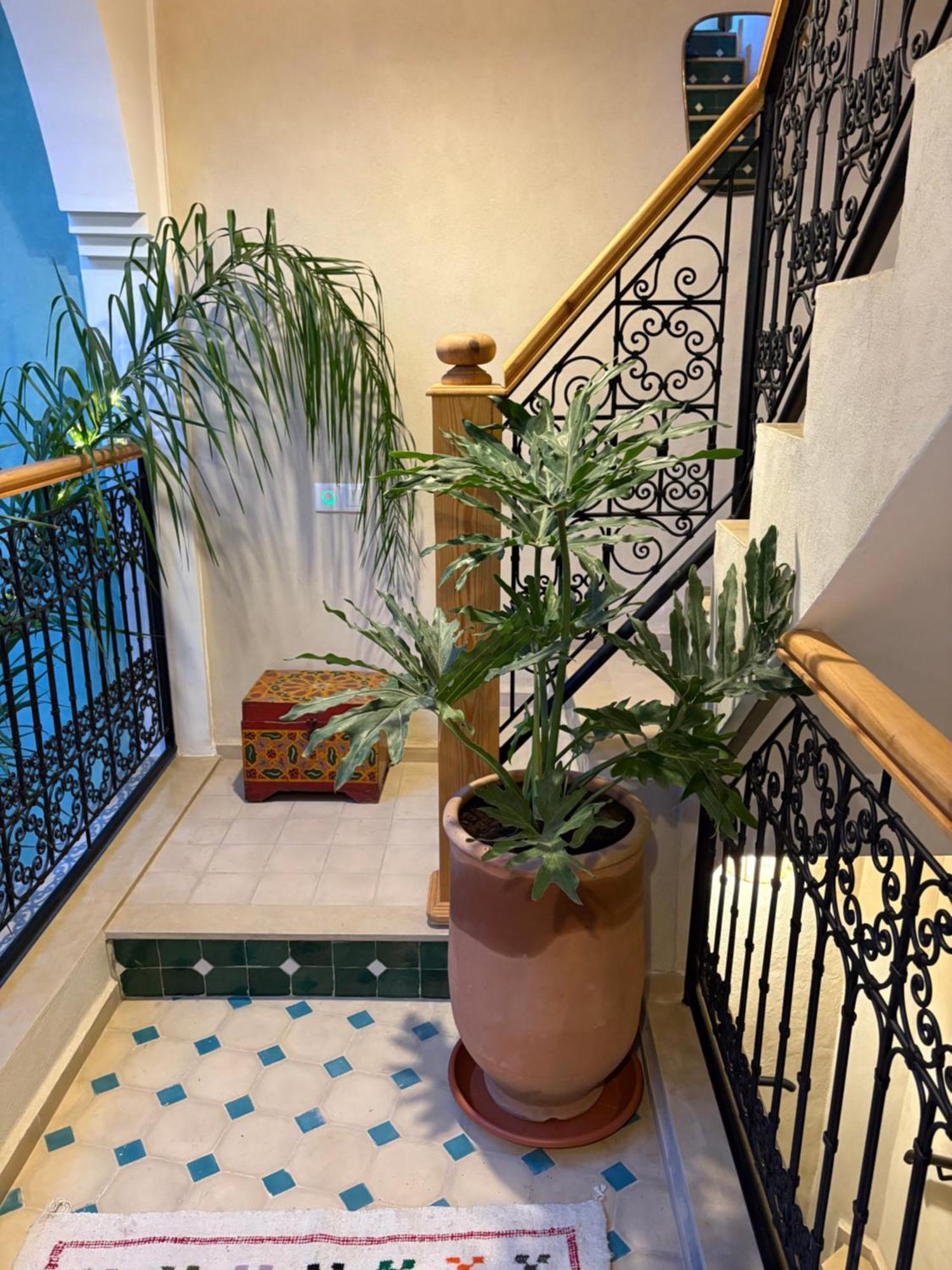 Riad212 Private Medina Fast Wi-Fi Plunge Pool Marrakesh Extérieur photo